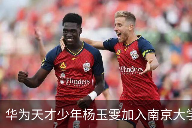 华为天才少年杨玉雯加入南京大学任博导 此前已有两位华为天才少年入职南大