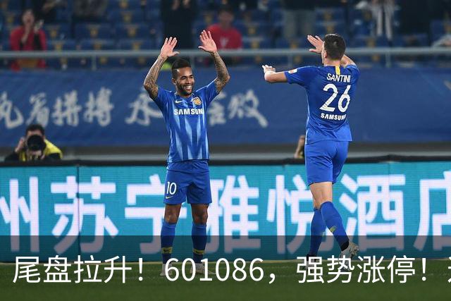 尾盘拉升！601086，强势涨停！这一板块逆市爆发