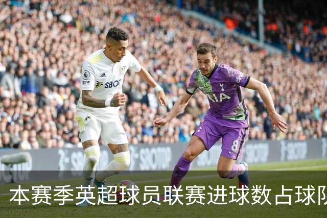 本赛季英超球员联赛进球数占球队总进球数比例：伊萨克达50%