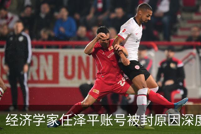 经济学家任泽平账号被封原因深度分析
